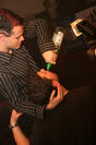 Bild 202 von 244