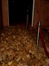 Bild 122 von 157