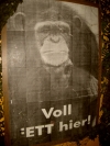 Bild 107 von 190